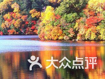 若羌:乡镇小巴扎红红火火热热闹闹迎新春