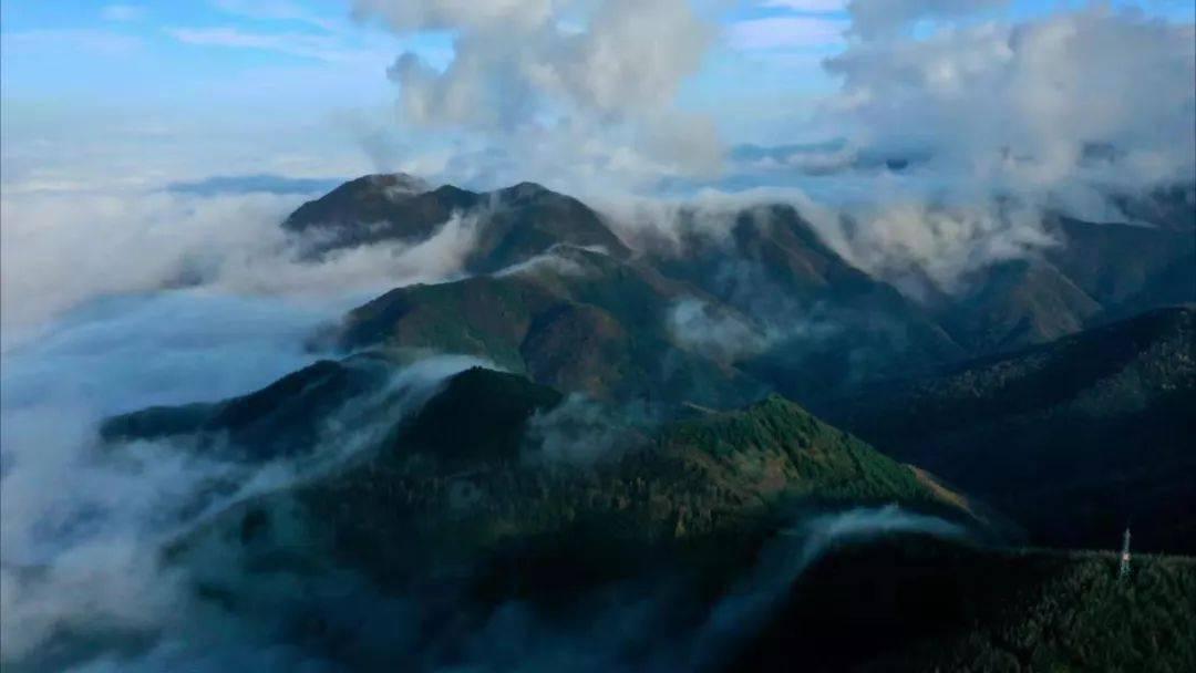 逃出安逸小乡村