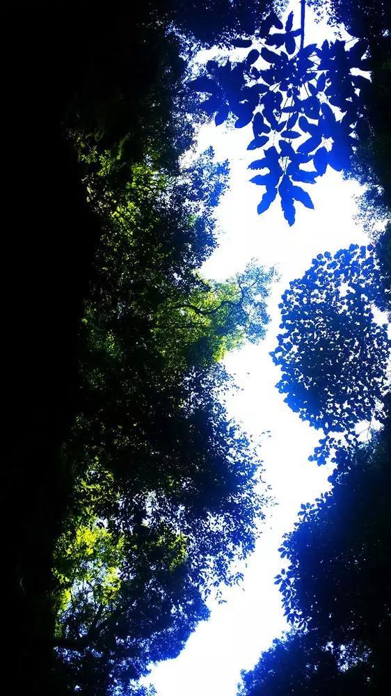救援机修工