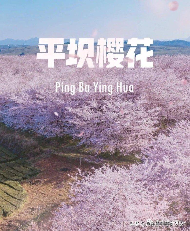 美妙冬季拼图