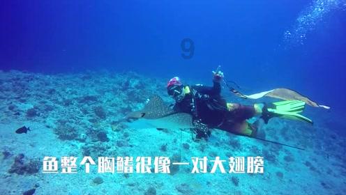 逃离诡异之林
