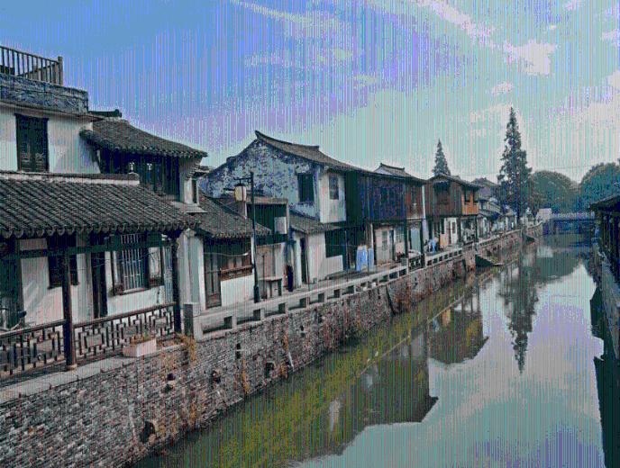 白孔雀救援